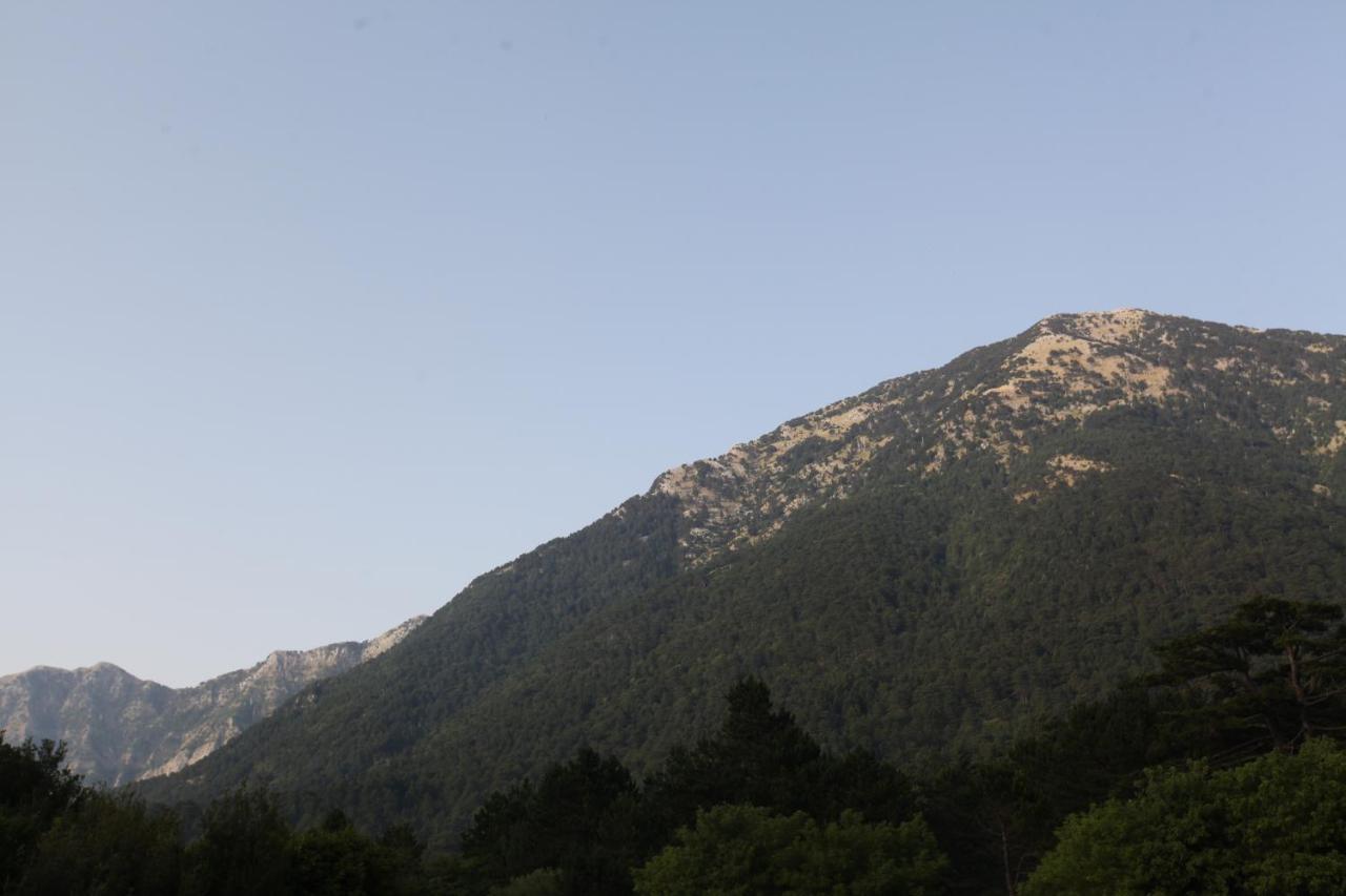 Hamiti Camping Center Dukat Экстерьер фото